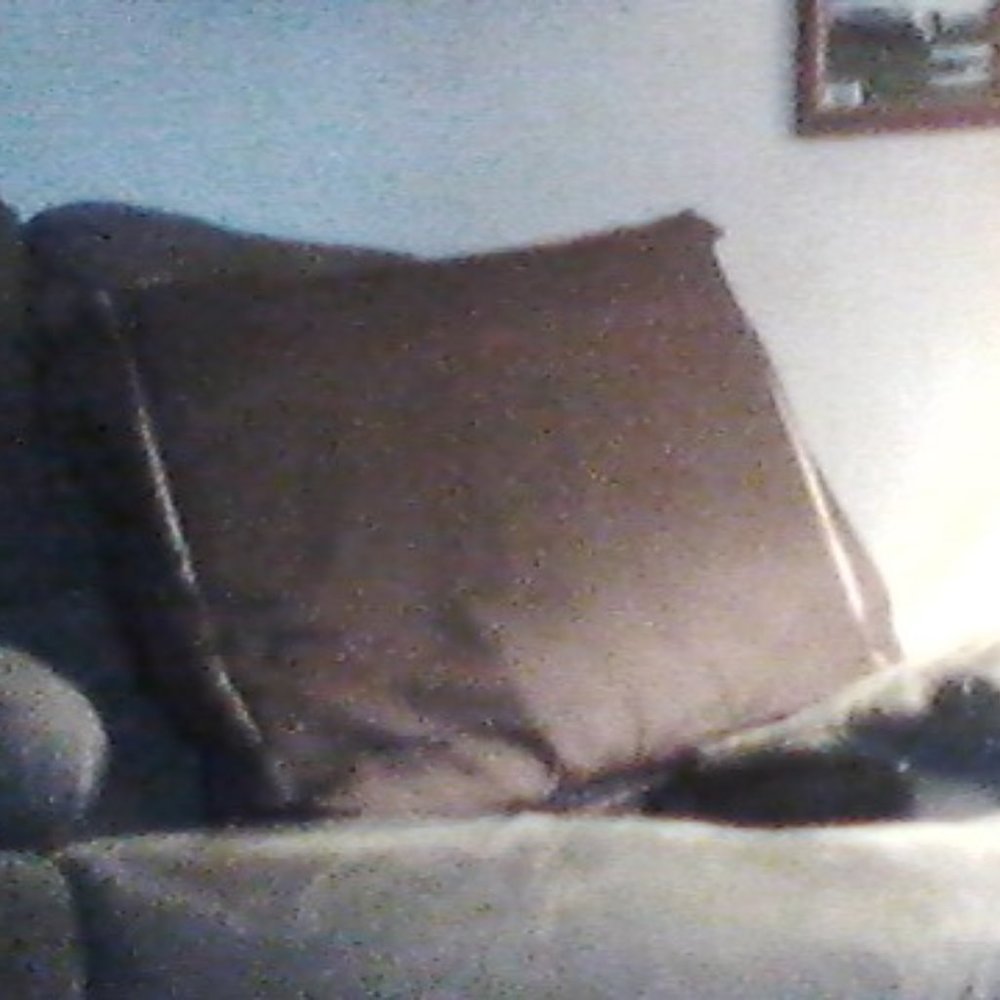 Brown Back Pillow